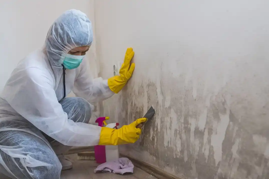 water damage restoration service Don Gaspar